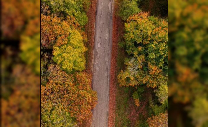 Sinop’ta sonbahar güzelliği