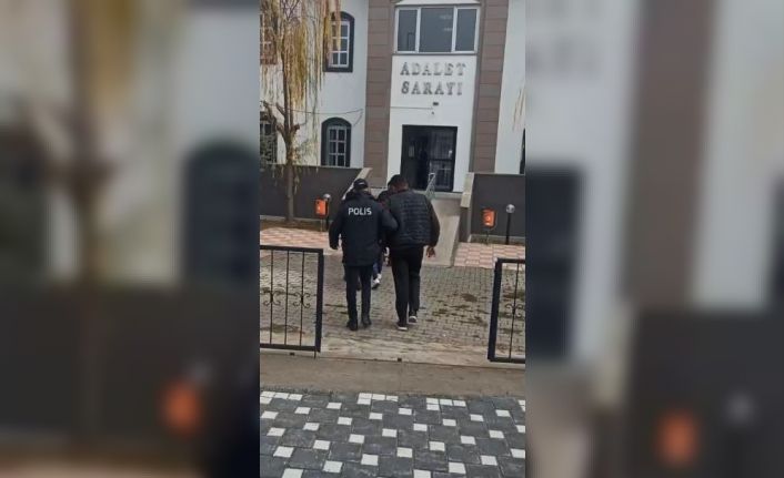 Sivas’ta çaldıkları Kangal köpekleriyle Kayseri’de yakalandılar