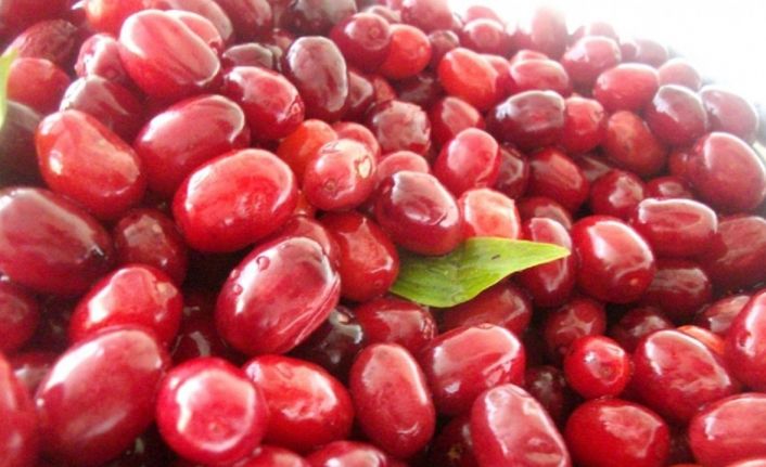 Soğuk algınlığına doğal çözüm: Kızılcık