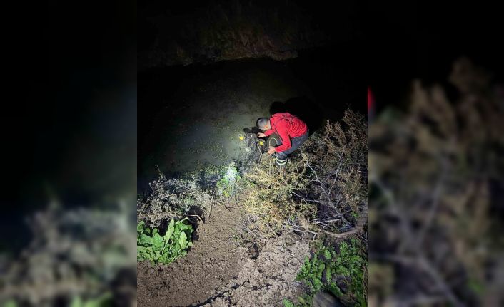 Su kanalına düşen buzağıyı itfaiye kurtardı