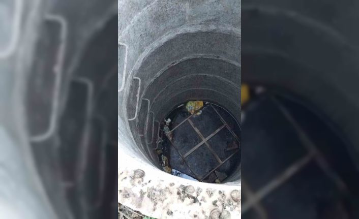 Su kuyusunda mahsur kalan yavru kedi, kurtarılarak annesine teslim edildi