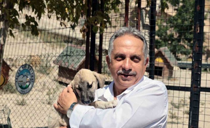 Talas Patievi Doğal Yaşam Alanı 500 can için seçkin bir yuva