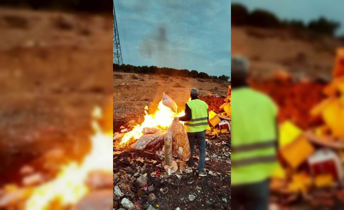 Tarihi geçmiş ürünlerle çocukları zehirleyeceklerdi: 2 ton cips, şekerleme ve çikolata imha edildi