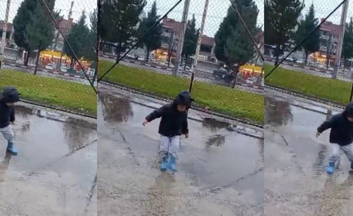 Tavşanlı’da orta refüjdeki ağaca çarpan otomobildeki 2 kişi yaralandı