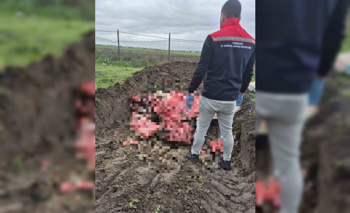 Tekirdağ’da 1 ton menşei belirsiz hayvansal ürün imha edildi