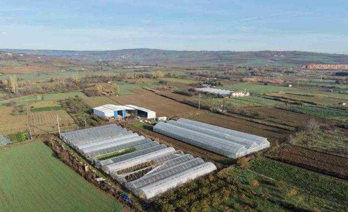 Tekirdağ’da 70 futbol sahası büyüklüğünde sera naylonu dağıtıldı