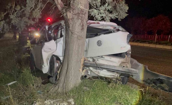Tekirdağ’da ağaca çarpan otomobilin sürücüsü yaralandı