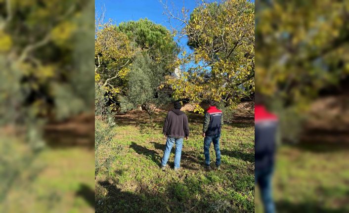 Tekirdağ’da ceviz bahçesinde hastalık ve zararlı kontrolü yapıldı