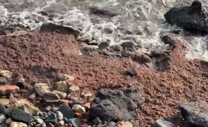 Tekirdağ’da poyraz kızıl yosun sürükledi