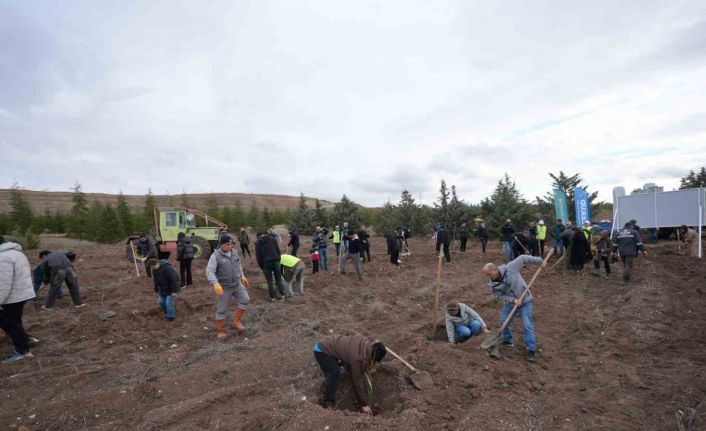 TUSAŞ şehitleri anısına binlerce fidan toprakla buluştu