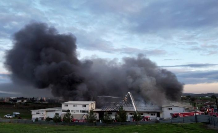 Tuzla’da kauçuk fabrikasında korkutan yangın