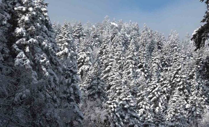 Uludağ’da göz gözü görmüyor
