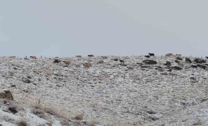 Van’da kış yüzünü gösterdi: Erek Dağı ve çevresi beyaza büründü