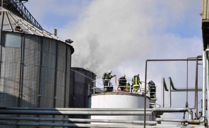 Yağ fabrikasında yangın