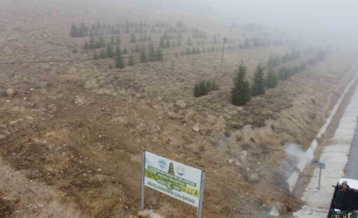 Yahyalı’ya bin 200 fidan dikildi