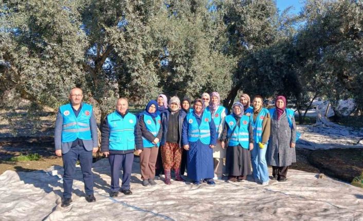 Yatağan’da zeytin hasadı ve bereket duası yapıldı