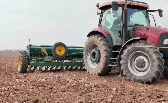 Yıldız Tarım, Mardin’de yerli tohum üretimini güçlendirip ihracatta hedef büyütüyor
