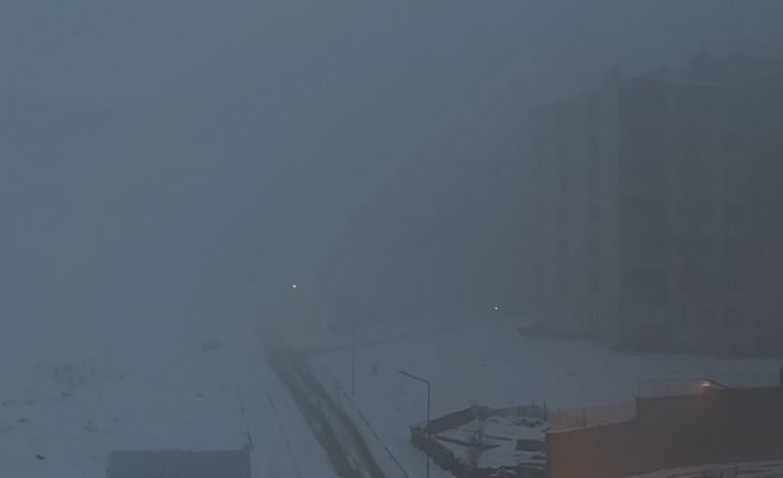 Yüksekova’da yoğun sis hayatı felç etti