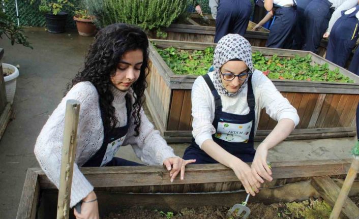 Zeytinburnu’nda ergoterapi öğrencileri engeli olan bireylerle birlikte fide ekti