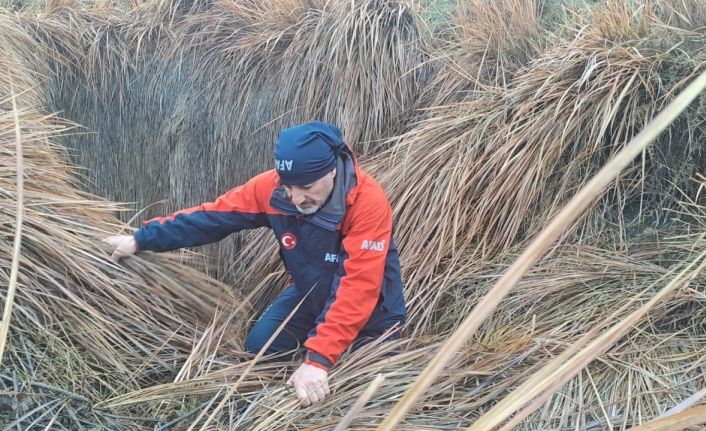 379 kişi iz takip ve kadavra köpeğiyle kayıp kadını arıyor