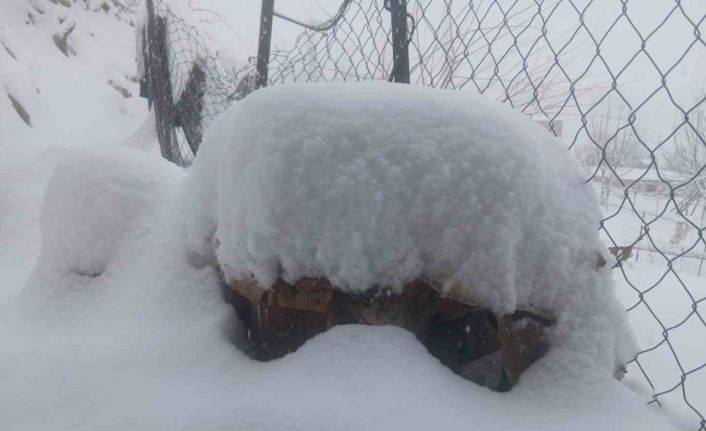 Batman’da son 20 yılın en sert kışında ekiplerin çalışmaları sürüyor