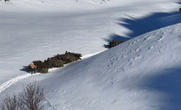 Bitlis’te hayvanlar için kızaklı yem mesaisi