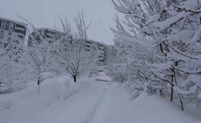 Bitlis’te kar esareti, 229 köy yolu ulaşıma kapalı