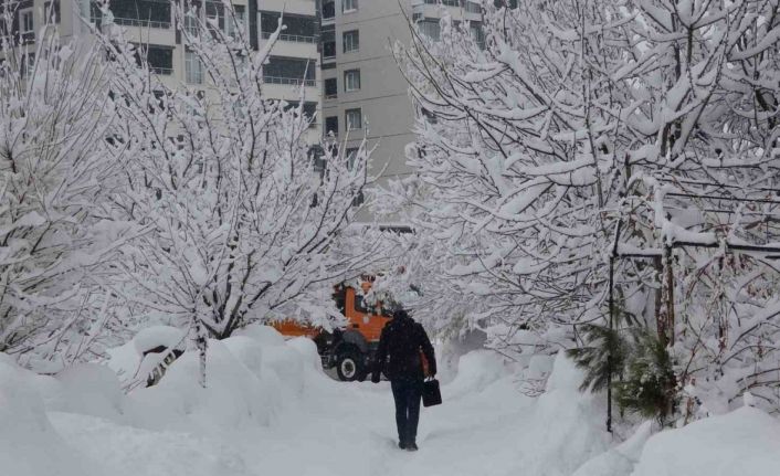 Bitlis’te kar yağışı yeniden etkili oldu