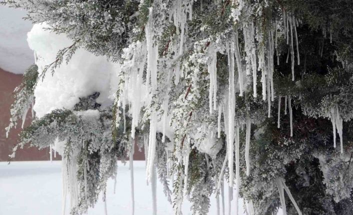 Bitlis’te karla mücadeleye rekor yakıt harcaması