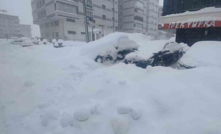 Bitlis’te kuvvetli kar, fırtına ve çığ tehlikesi uyarısı