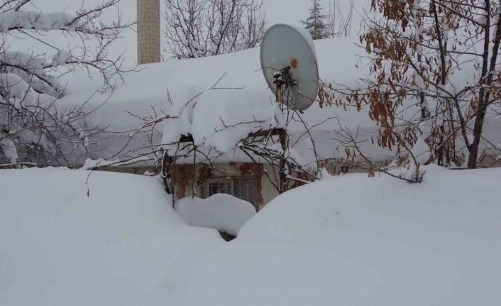 Bitlis’te tek katlı evler kardan kayboldu, 314 köy yolu ise ulaşıma kapandı