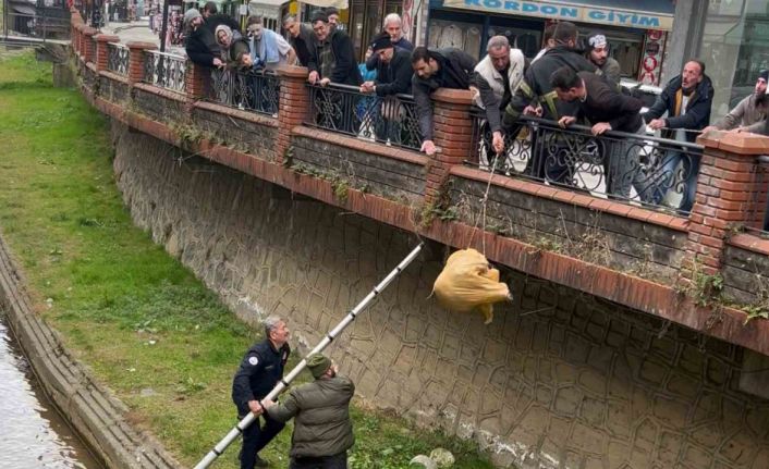 Dere yatağında mahsur kalan köpek itfaiye ve vatandaşın yardımıyla kurtarıldı