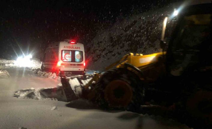 Dicle Kaymakamı Atış: "İlçede kaymakamlık koordinesinde karla mücadele ediliyor"