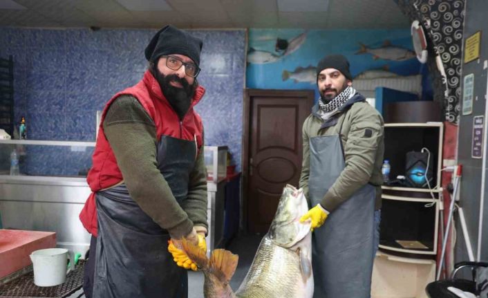 Elazığ’da yakalanan 78 kilogram ağırlığındaki turna balığını iki kişi zor taşıdı