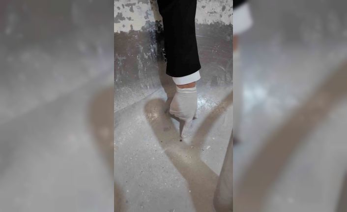 Fırında ortaya çıkan görüntülere tepki gösteren zabıta müdürü: "Fareyi geçtim, yılan çıkacak diye korkuyorum"