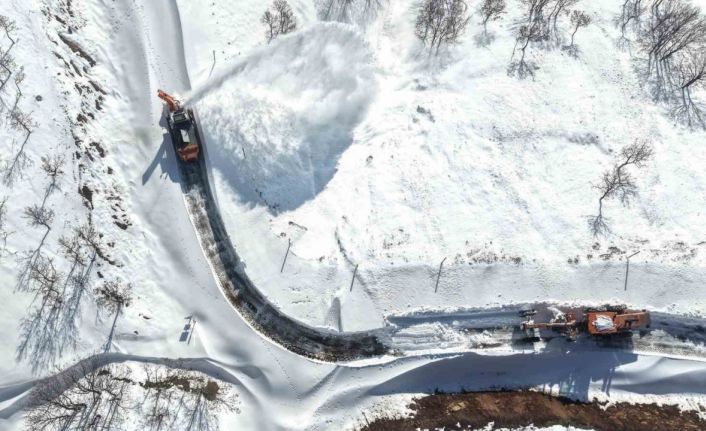 Hasköy-Mutki güvenlik yolunda çığ riskine rağmen karla mücadele sürüyor