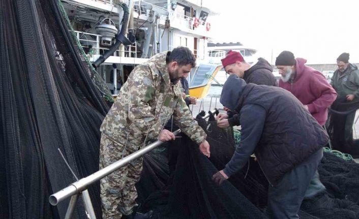 İğneada ve Gürcistan açıklarındaki hamsi avı beklentileri karşılamayınca balıkçılar erken paydos etti