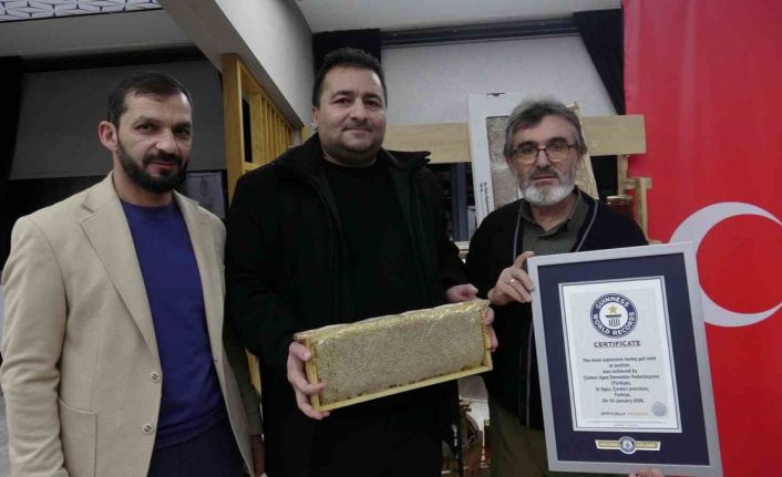 Ilgaz balı dünyanın en pahalı balı olarak Guinness Rekorlar Kitabı’na girdi