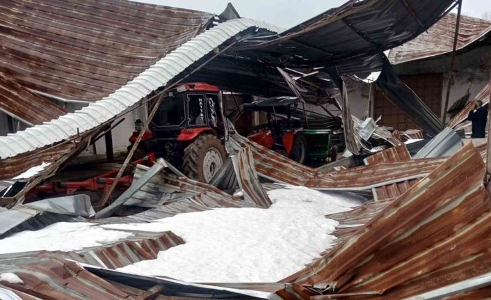 Kar birikintisi mandıra çatısını çökertti: 4 ton buğday zarar gördü