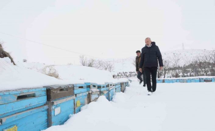 Kar yağışı, koloni kayıplarını ve hastalıkları minimuma indirdi: Arıcılar sezonundan ümitli