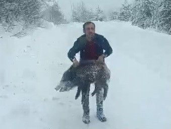 Karlı yolda domuzu elleriyle yakalayan adam konuştu: "Bir anı olsun diye yakaladım, kimseye tavsiye etmem"