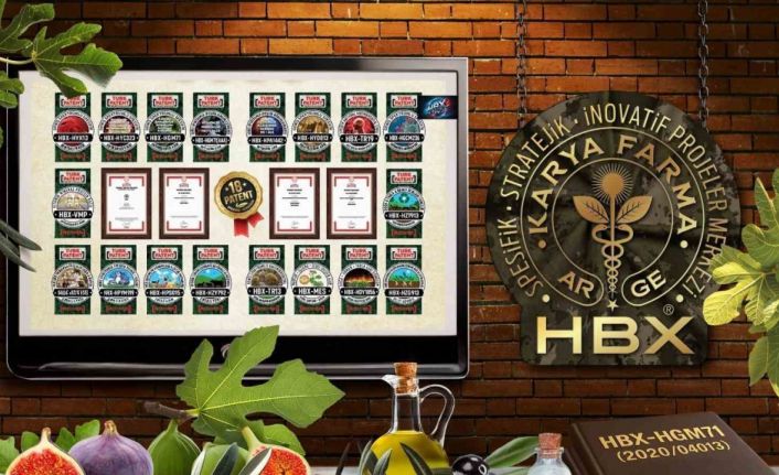 Karya Farma HBX Ar-Ge; ’İncir ve Zeytin Bilimsel Araştırmalar Akademisi’ kuracak