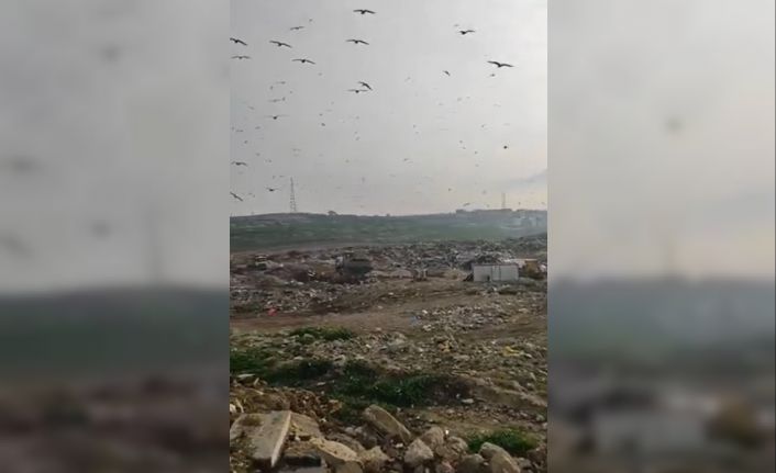 Katı Atık Tesisinde vahşi depolama yapan Bursa Büyükşehir Belediyesi’ne 1.8 milyon TL ceza