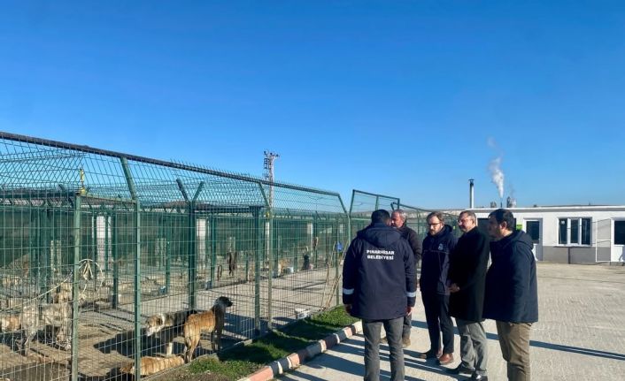 Kaymakam Özderin, Pınarhisar Geçici Hayvan Bakım ve Gözlem Merkezi’nde incelemelerde bulundu