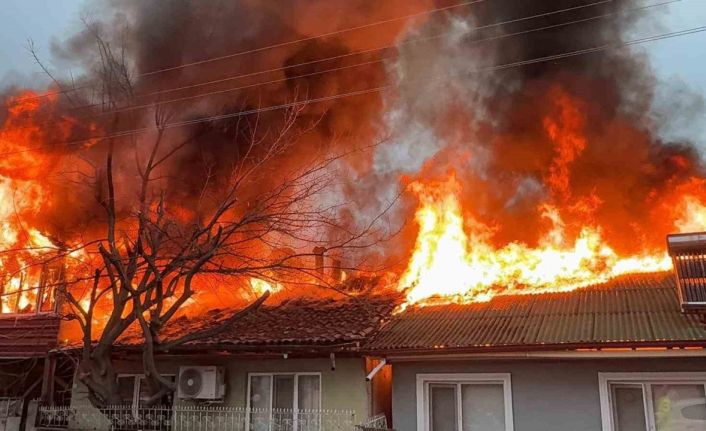 Kediler üşümesin diye yakılan soba faciaya dönüştü: İki ev küle döndü