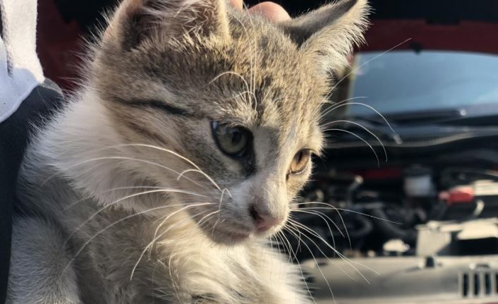 ‘Kontağı çevirmeden kaputa vurun’ uyarısı