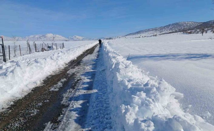 Kulp’ta taşımalı eğitime kar tatili, ilçe merkezinde okullar açık