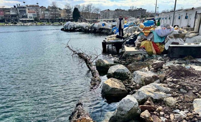 Marmara Denizi’nde feribot trafiği için tehlike oluşturan yüzen ağaç kıyıya çekildi