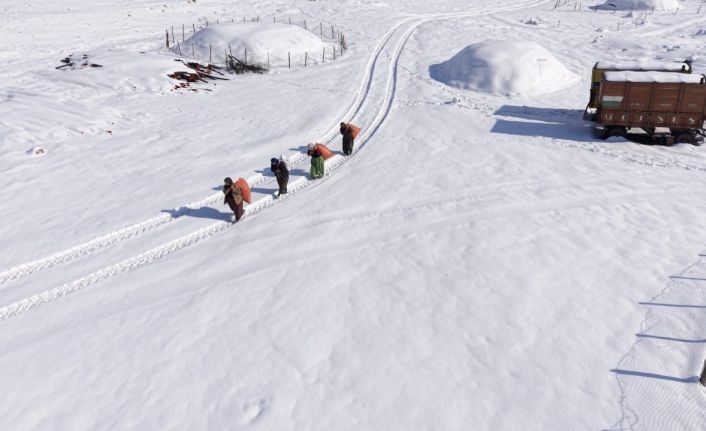 Mazıdağı’nın karlı yollarında zorlu mesai: Kadınlar sırtlarında saman taşıyarak kışa meydan okuyor