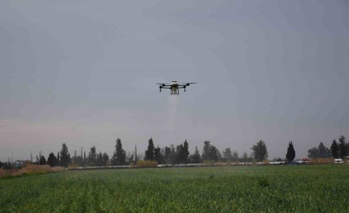 Mersin’de dronla gübreleme ve ilaçlama çiftçinin zayiatını sıfıra indirdi, zamandan tasarruf sağladı